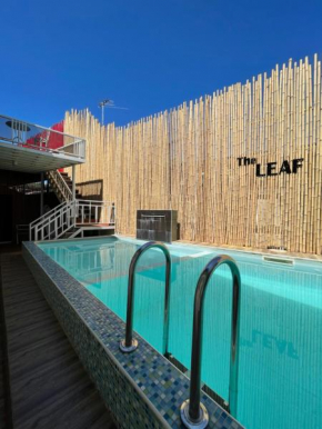 The leaf&pool kohlarn เดอะลีฟ&พลู ที่พักเกาะล้าน